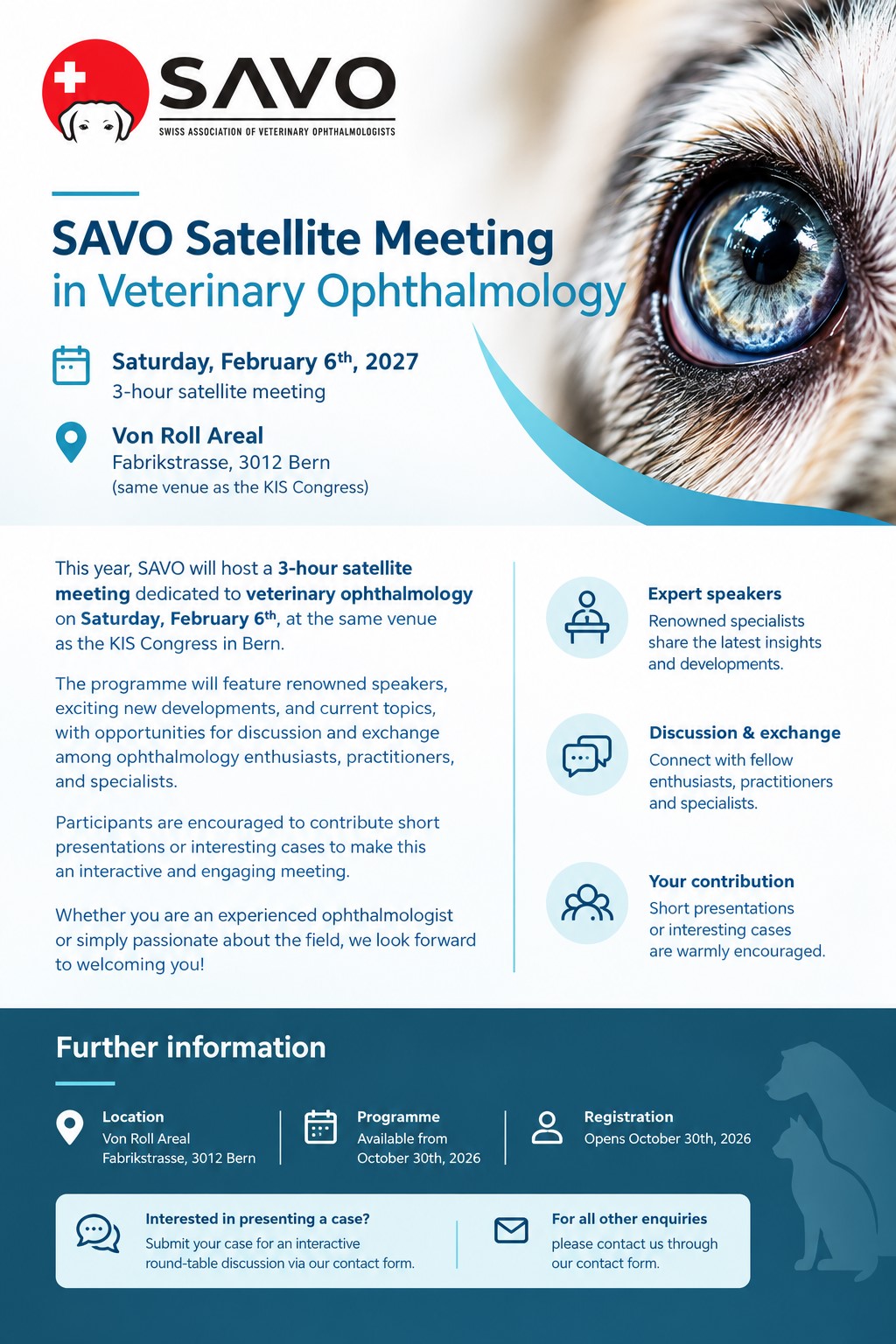 English flyer for the SAVO Satellite Meeting in Veterinary Ophthalmology on February 6, 2027